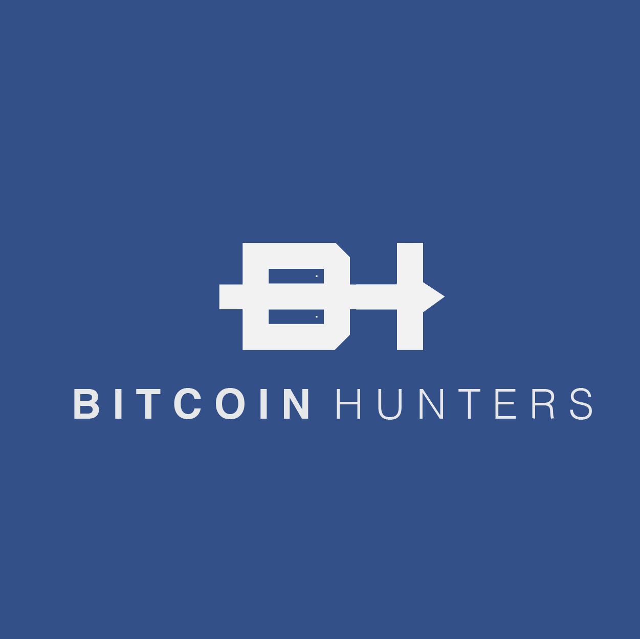 Logotyp Bitcoin Hunters - projektowanie logotypów portfolio