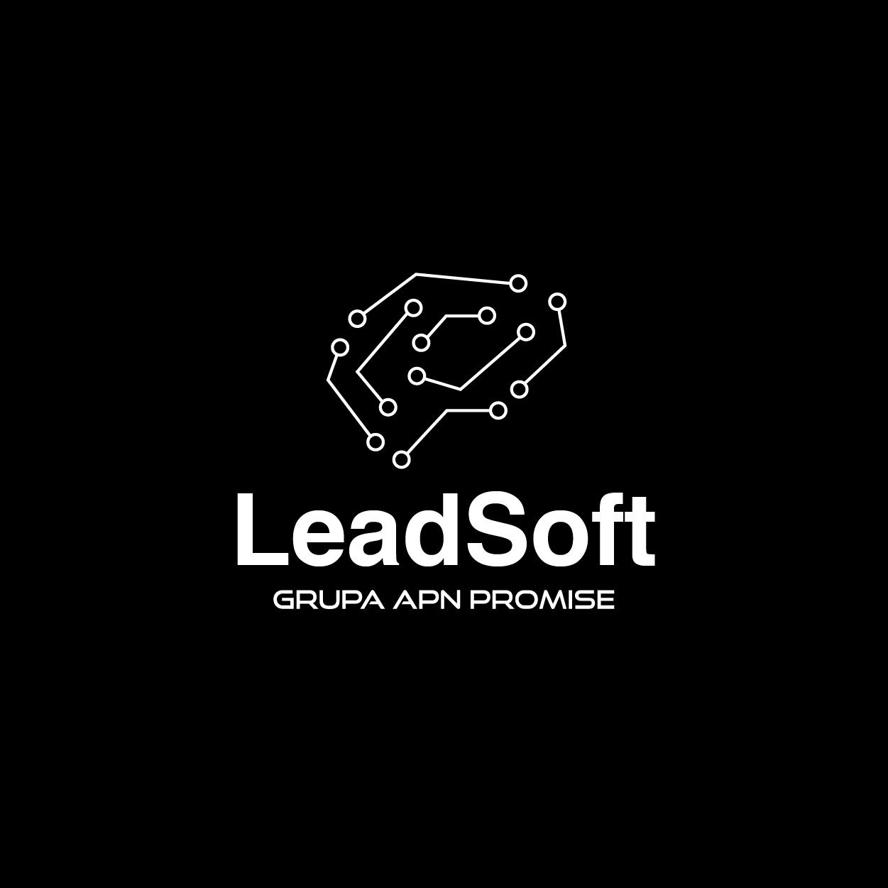 Logotyp Leadsoft - projektowanie logotypów portfolio
