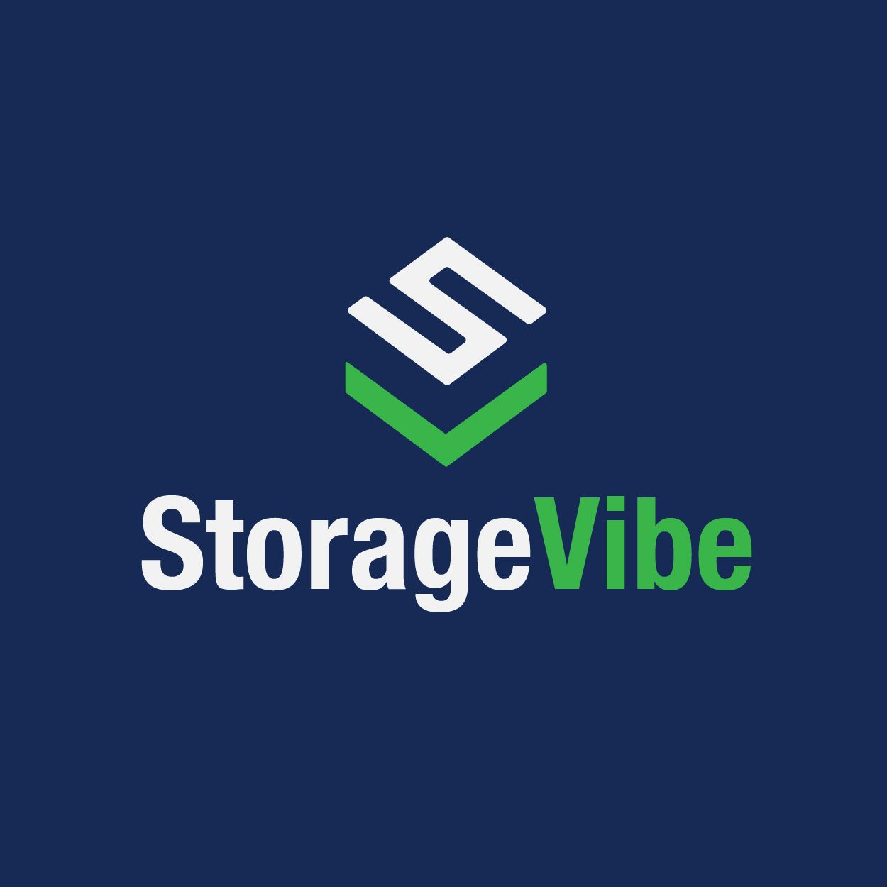 Projekt logotypu Storage Vibe